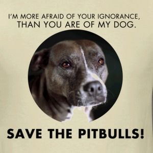 Meet your Posher, Kellydee